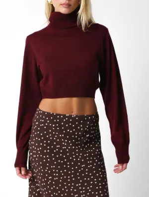Long Sleeve Turtleneck Cropped Sweater