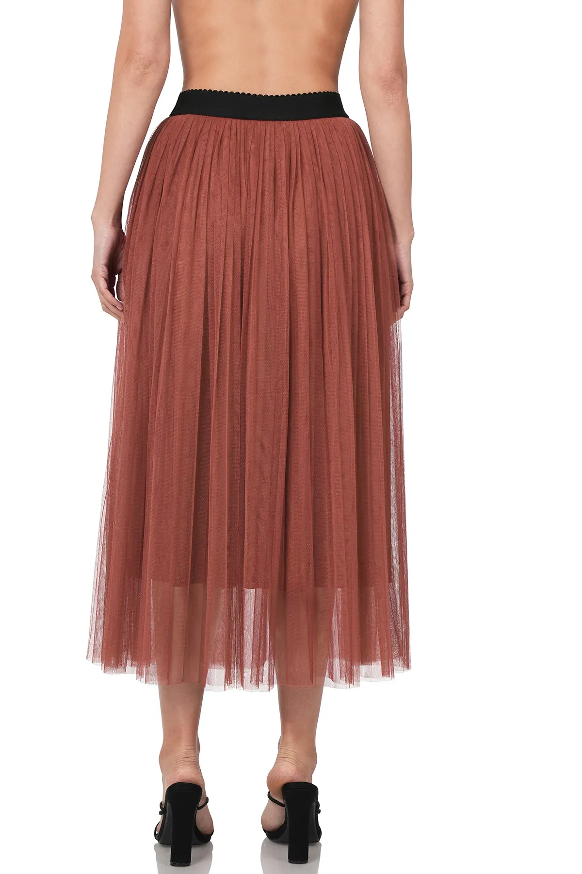 Tulle Skirt